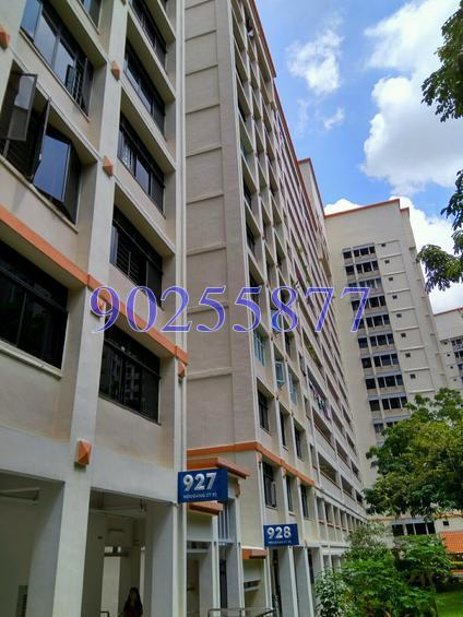 Hougang Street 91 thumbnail photo